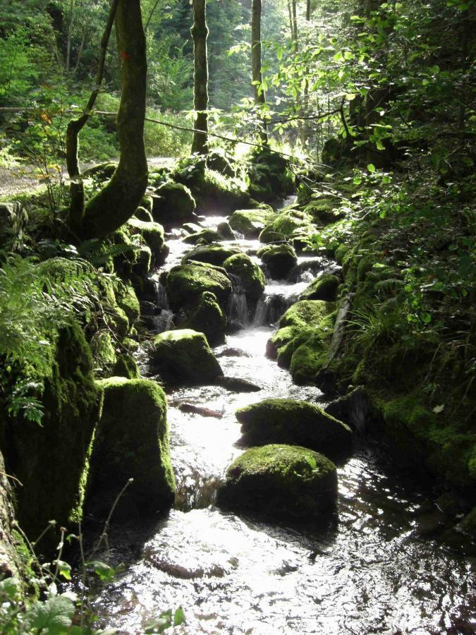 Weitblick "Entspannen - Wohlfuehlen - Aktiv Erholen" Elzach Eksteriør bilde