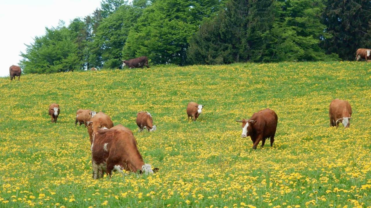 Weitblick "Entspannen - Wohlfuehlen - Aktiv Erholen" Elzach Eksteriør bilde