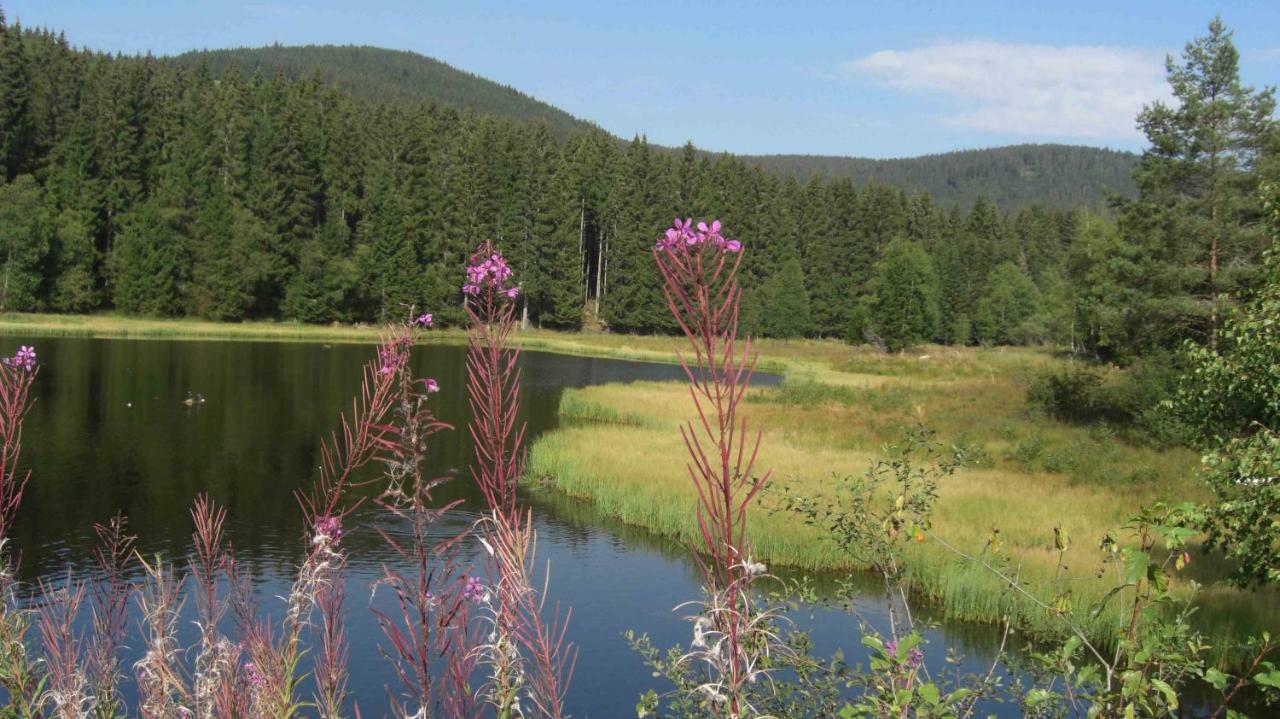 Weitblick "Entspannen - Wohlfuehlen - Aktiv Erholen" Elzach Eksteriør bilde