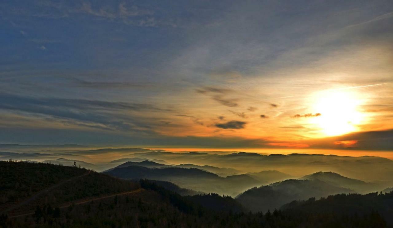 Weitblick "Entspannen - Wohlfuehlen - Aktiv Erholen" Elzach Eksteriør bilde