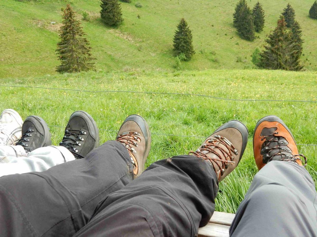 Weitblick "Entspannen - Wohlfuehlen - Aktiv Erholen" Elzach Eksteriør bilde