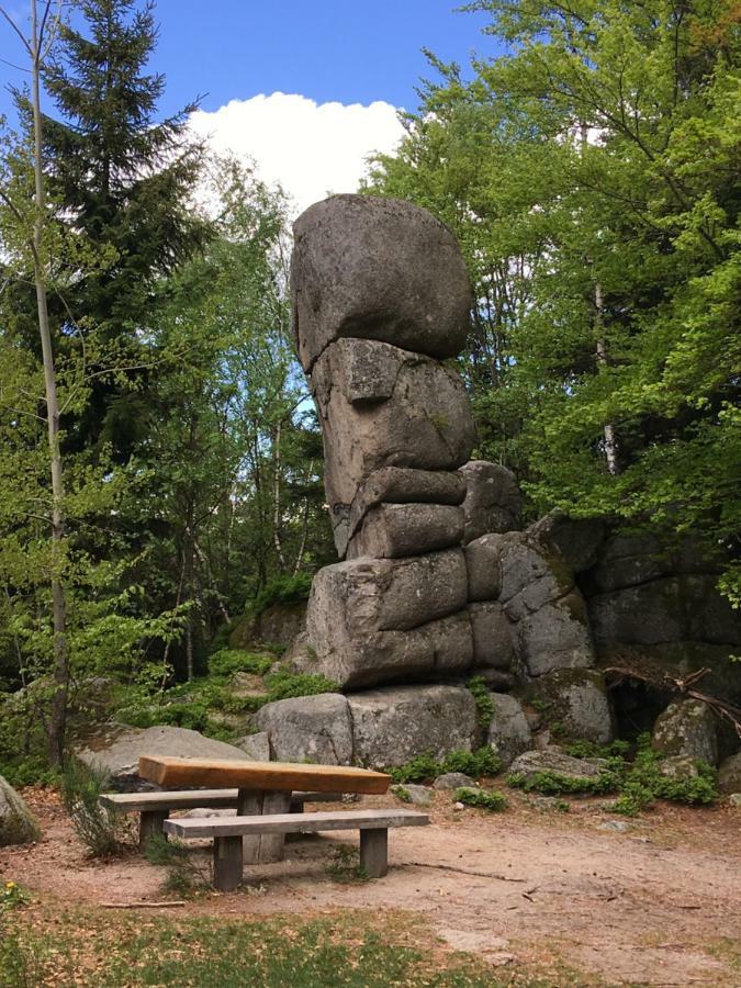 Weitblick "Entspannen - Wohlfuehlen - Aktiv Erholen" Elzach Eksteriør bilde